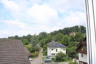 Wohnungspaket in ruhiger Lage von Baden-Baden!