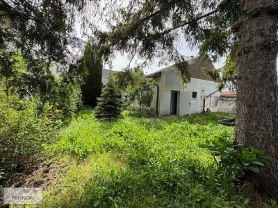 Frauenkirchen - Bauernhaus mit großem Grund