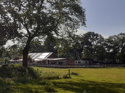 Großer Resthof/Mehrgenerationenhaus auf ca. 2ha, ideal für Pferdehaltung, vollrenoviert, Alleinlage