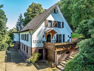 Traumhaftes Einfamilienhaus mit Einliegerwohnung und großem Grundstück im Grünen zu verkaufen