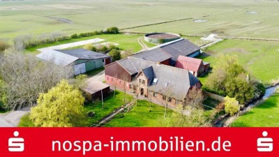 Ehemaliger landwirtschaftlicher Betrieb mit ca. 1,27 ha Grünland auf der Nordseeinsel Pellworm
