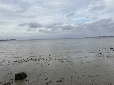 Fast direkt am Ostseestrand - Tiny-House in Urlaubslage