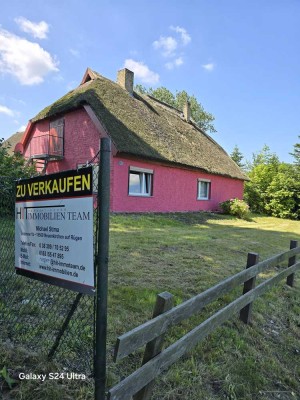 Resthof mit Bauernhaus, Scheune, Stall und Weide