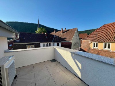 Von privat - Neubau, klimatisiert, EBK & großer Balkon - 2 Zi. DG im Herzen Neckargemünds