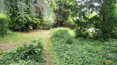 + Leben in beliebter Lage Darmstadt-Arheilgen mit großem Gartenparadies - Freistehend mit Garagen +