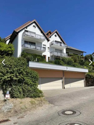 Schicke 2-Raum-Wohnung in Lauf mit top Aussicht