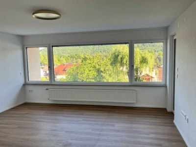 Erstbezug nach Sanierung mit EBK und grosser Terrasse: schöne 4-Zimmer-Wohnung in Hohentengen