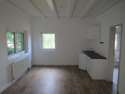 Vollständig renovierte Wohnung mit einem Zimmer und EBK in Friedrichsdorf