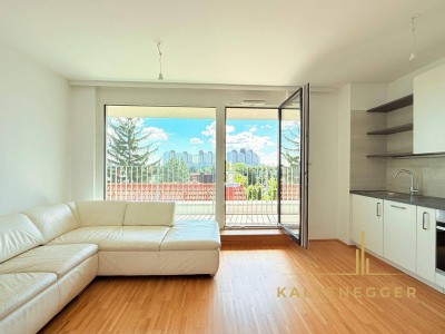 Helle 2-Zimmer Wohnung mit Terrasse im 3. Stock - für Singles oder Paare