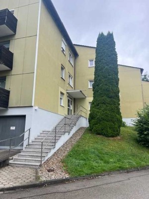 Frisch renovierte 1,5 Zimmerwohnung mit zwei separaten Räumen!