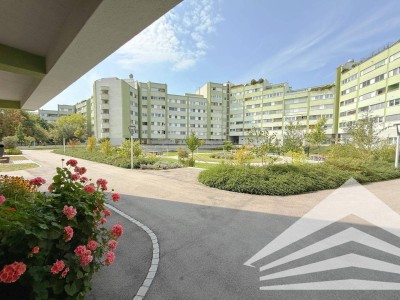 Sanierungsbedürftige 4,5 Zimmerwohnung mit 118 m² in Dornach - TG inklusive!