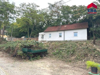 Hausbrunn MIETE - Generalsaniertes Einfamilienhaus mit Garten und Terrasse in absoluter Grünruhelage