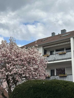 Gepflegte 2-Zimmer-DG-Wohnung mit neuer Einbauküche in Heilbronn Süd