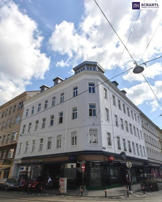 + Rohdiamant + Sanierungsbedürftige Altbauwohnung + perfekte Infrastruktur