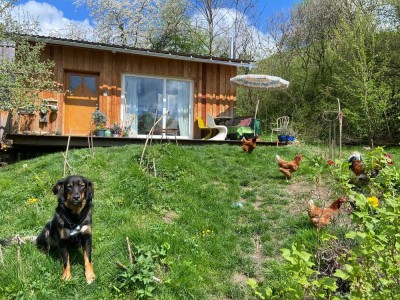 Einzigartiges ÖKO-Tiny-Haus zu verkaufen - Perfekt für gesundheitsbewuste Menschen