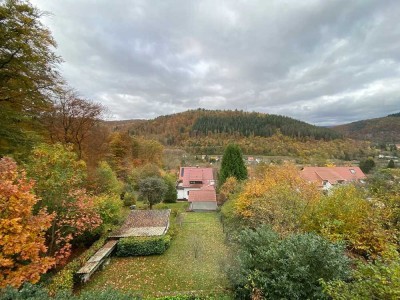 Natur Pur! Renovierte 2-Zimmer-Wohnungen mit Terrasse und Garten in Neckargemünd