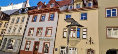 Kernsanierte 3 Zi. Wohnung mit Küche in der Innenstadt von Villingen