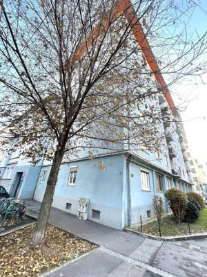 Geräumige Wohnung im Hochparterre in zentraler ruhiger Stadtlage