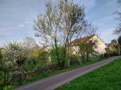 Schöne 2 Zimmer in begehrter Lage mit Terrasse und viel Nebenraum