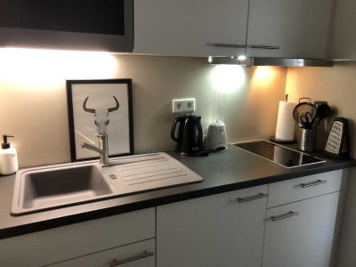 Schickes, möbliertes Apartment mit TGL, EBK und Aufzug