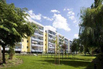 Wohnungsangebot Werner-Seelenbinder-Straße 5