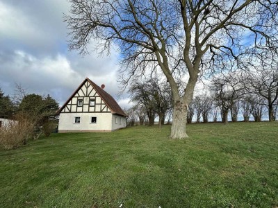 Gepflegtes Einfamilienhaus mit Nebengelass und großzügigem Grundstück