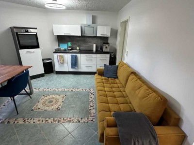 Schöne neu sanierte möblierte 3 Zimmer, Bad, ebenerdige Dusche, Sauna, Terrasse am Fluß