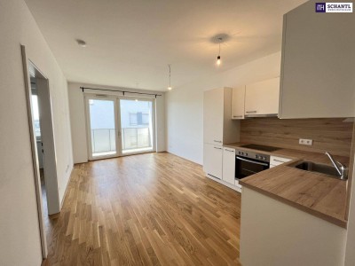 Modern, hell &amp; mit Terrasse – 2-Zimmer-Highlight in der Gymseldorfergasse 48A