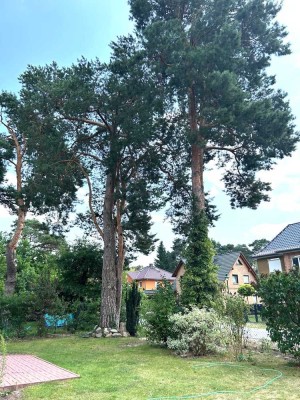 Wandlitz, großzügiges EFH mit 6 Zimmer in beliebter Wohngegend