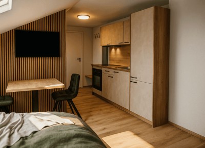 EXKLUSIVE GARCONNIERE MIT DESIGNKÜCHE, 4 STERN -SUPERIOR MÖBLIERUNG UND STILVOLLEM BAD