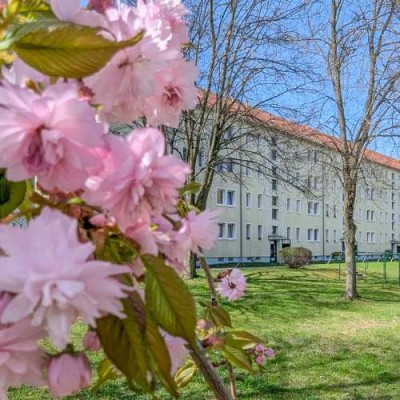 Nur wenige Treppenstufen..