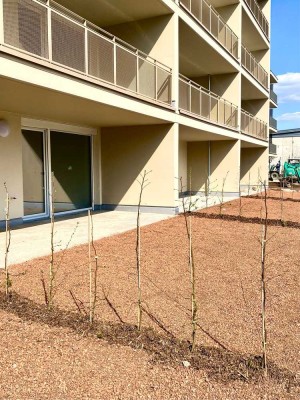3 Zimmer-Neubauwohnung mit Südterrasse und sonnigem Garten