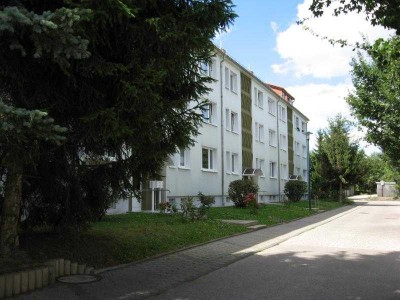 Wohnen für Alt und Jung- Balkon- Stellplatz- Flemminger Weg 61 Naumburg (Saale)