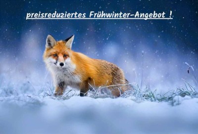 *** renovierungs-bedürftiges 2 bis 3-Familienhaus mit viel Wohnraum, Garage u. 2 Stellplätze ... ***