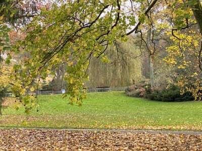 Wohnen am Park. Schöne renovierte 2-Zi. Wohnung mit Küche, Diele und Wannenbad mit Fenster.