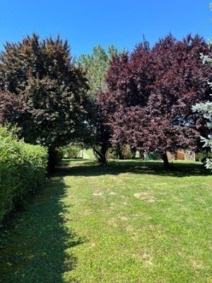 Ruhig, sonnig einfach zum Entspannen