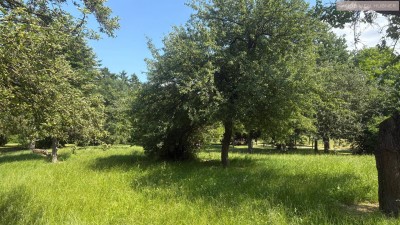 Für Natur- und Sportbegeisterte, Terrassenwohnung in der Hintschiggasse, in ca.35 Minuten in der City!