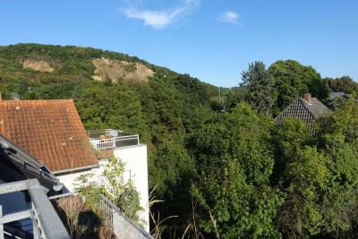 Bonn-Oberkassel, Möbliert-Appartement mit Balkon