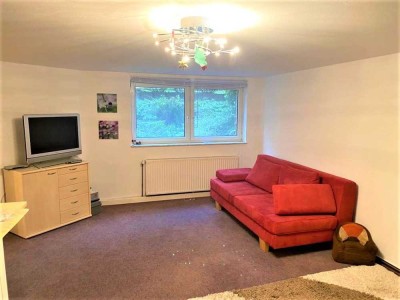 Souterrain-Aparte 2-Zimmer-Wohnung für Singles in Petershagen (Lahde)