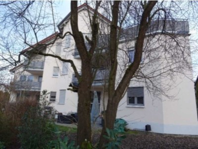 moderne Eigentumswohnung (ETW) in Hagenbach mit Terasse/ Garten