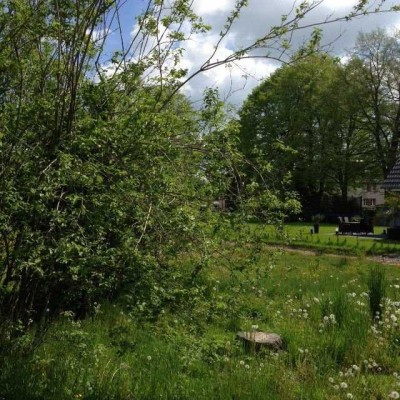 GENIESSEN SIE SONNE UND VOGELGEZWITSCHER AUF DER TERRASSE IHRES EIGENEN HAUSES!