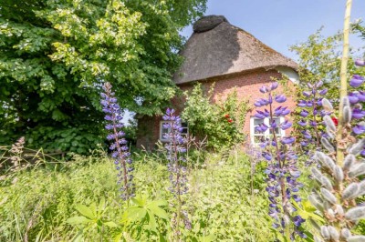 Das Rönnehaus – ein Ort zum Ankommen, Durchatmen und Bleiben