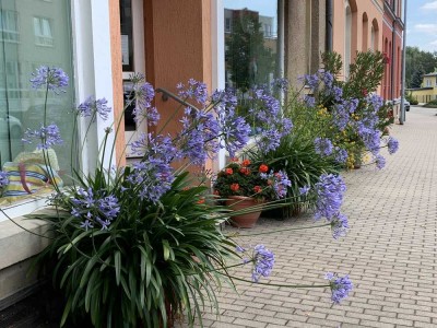 Schöne, sanierte, neuwertige 2-Zimmer-Wohnung mit gehobener Ausstattun Innenausstattung in Mittweida