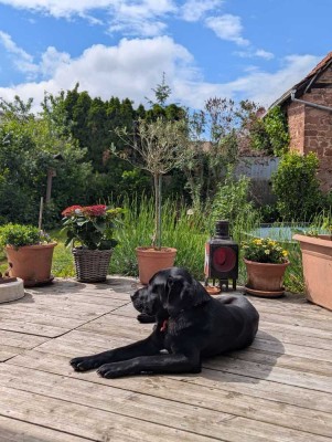 Zweifamilienhaus in Langenselbold - ohne Makler