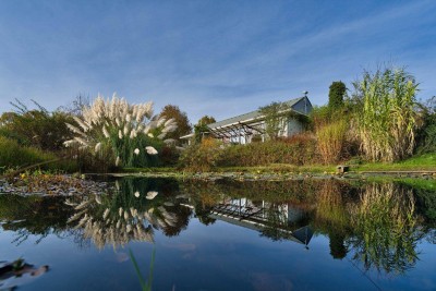 Dem Stadtleben entfliehen - südlich vom Burgenland leben im Landgut mit Gäste- und Bürohaus sowie Sauna/ Pool und Vielem mehr!