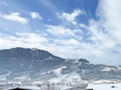 Charmantes Appartement an der Hornbahn / Kitzbühel