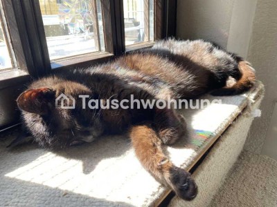 Tauschwohnung: Kater Kasimir und ich brauchen ein bisschen mehr Platz