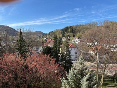 Freundliche und modernisierte 3,5-Raum-Wohnung mit EBK in HEUBACH