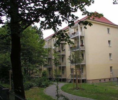 Für Senioren: 1-Raum-Wohnung mit Balkon und Bad mit Dusche im Süden