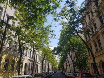 Helle und ruhige 3 -Raum-Wohnung im 4. OG mit Balkon und Aufzug in Leipzig